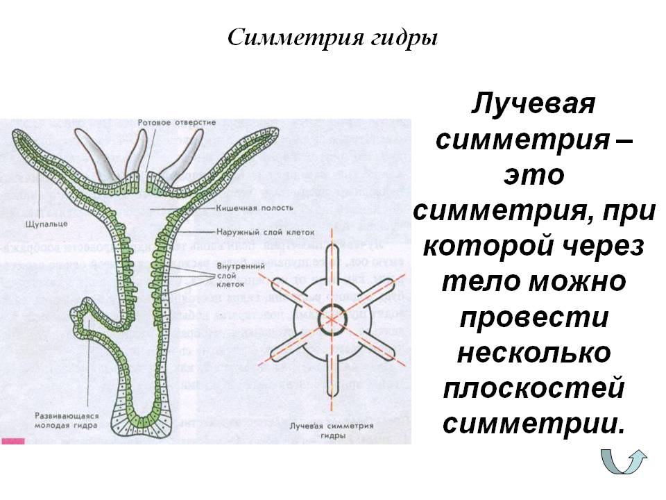 Кракен сайт 13at