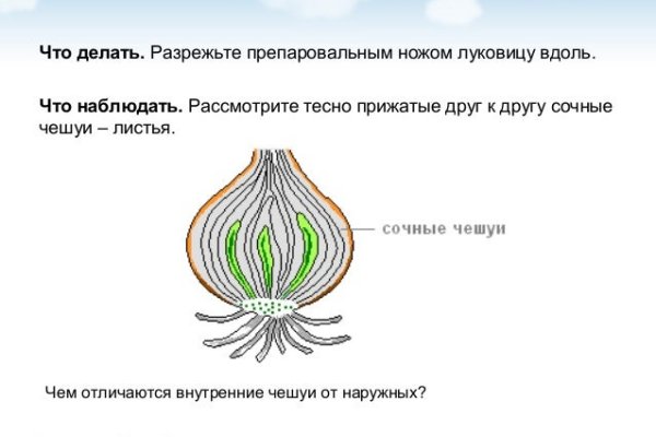 Через какой браузер зайти на кракен