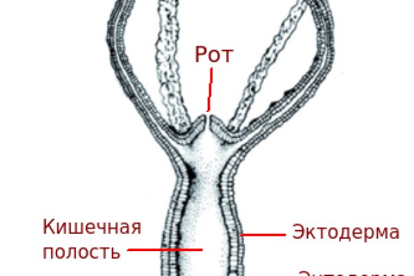 Зеркало на кракен