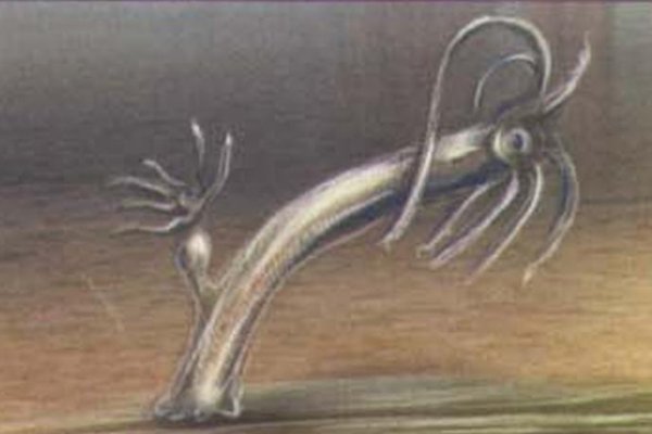 Kraken ссылка зеркало