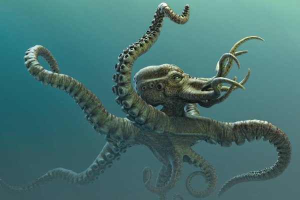 Kraken 13 at ссылка