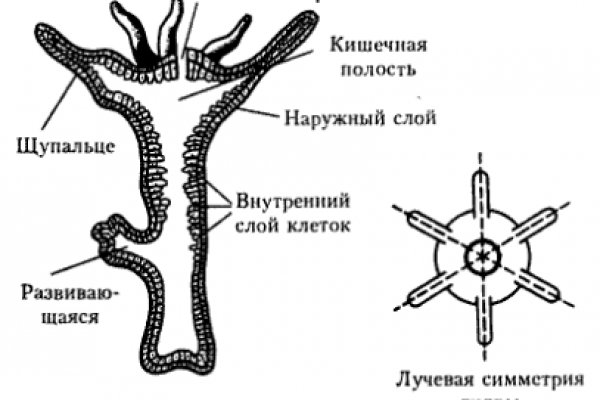 Кракен сайт